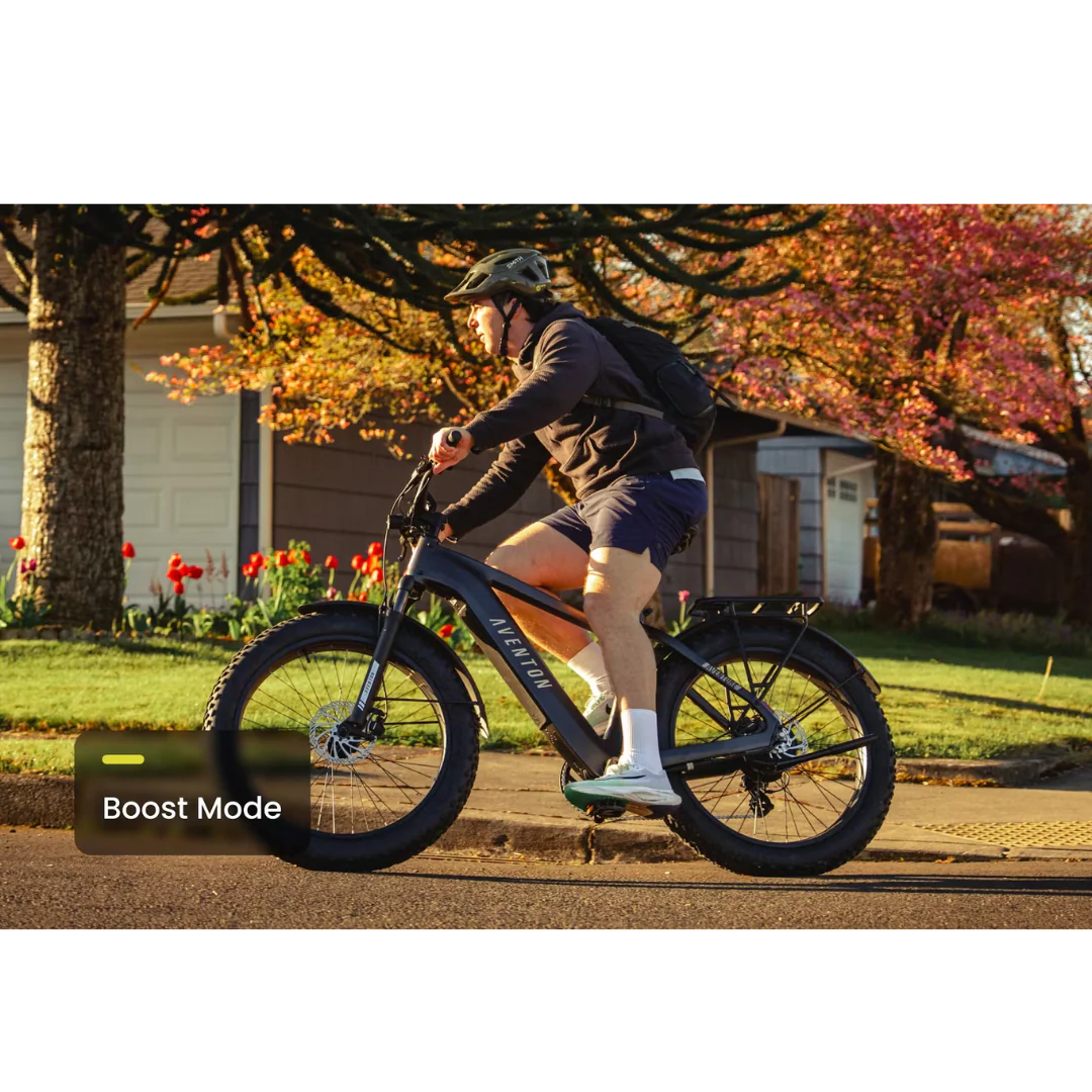 Aventon Aventure 3 Step-Through Ebike - Image 11